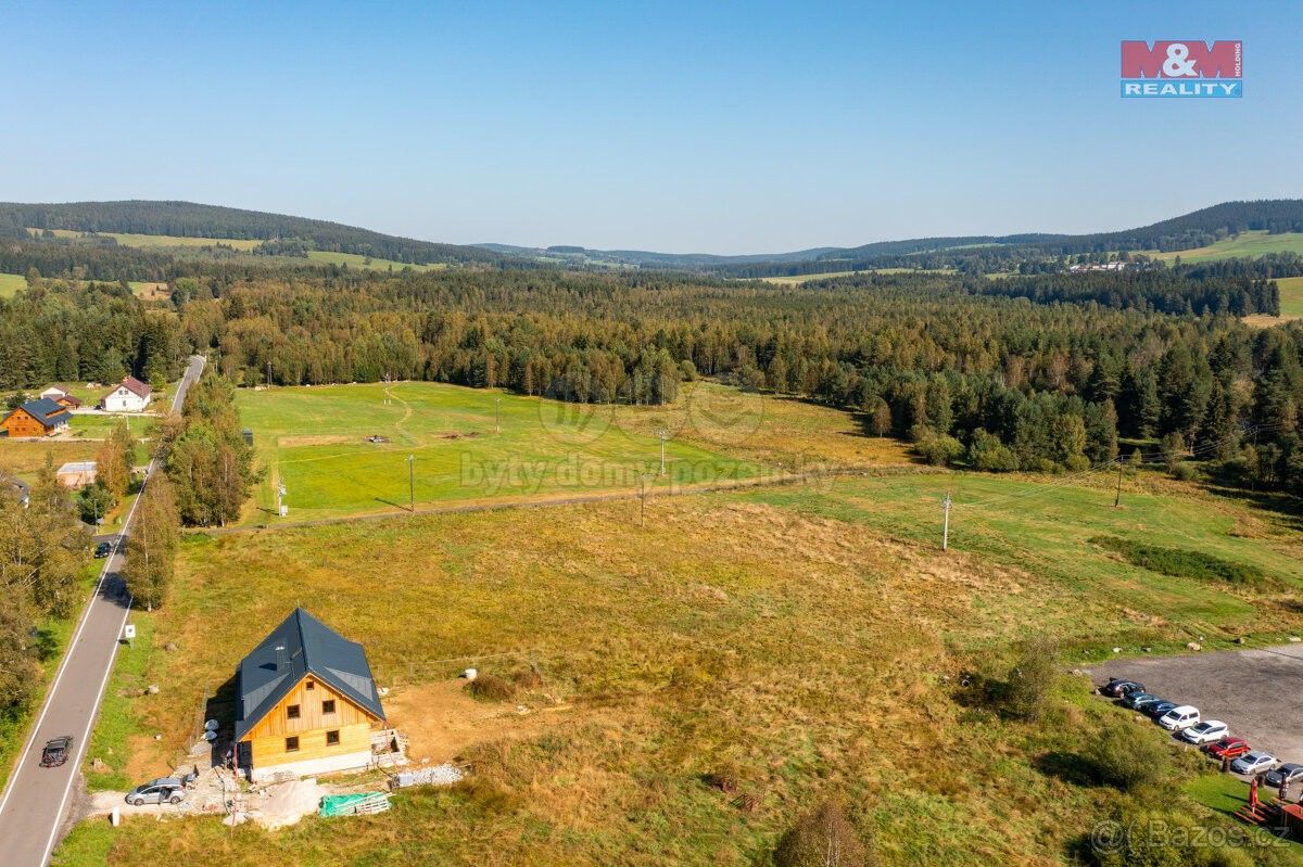 Prodej pozemek - Borová Lada, 384 92, 8 541 m²