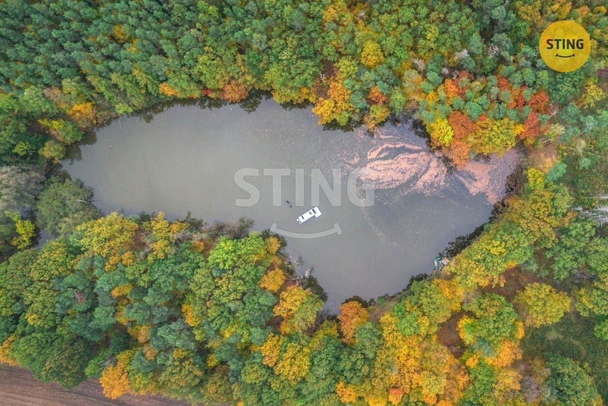 Pozemky pro bydlení, Dolní Roveň, 533 71, 42 553 m²