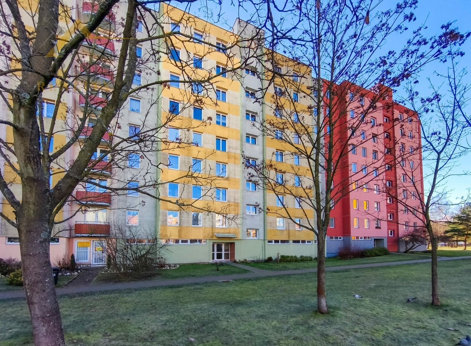 3+1, J. Bendy, České Budějovice, 86 m²