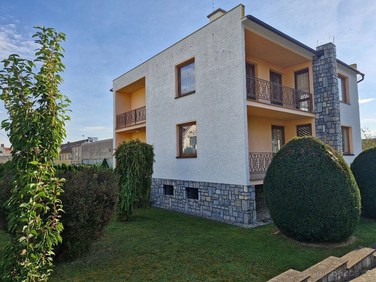 Ostatní, Loštice, 789 83, 290 m²