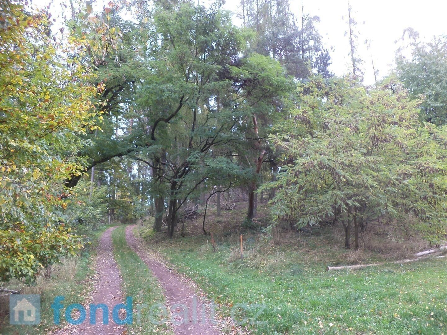 Ostatní, Lázně Bělohrad, 2 m²