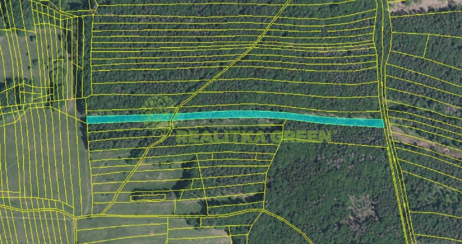 Prodej les - Hřivínův Újezd, 11 067 m²