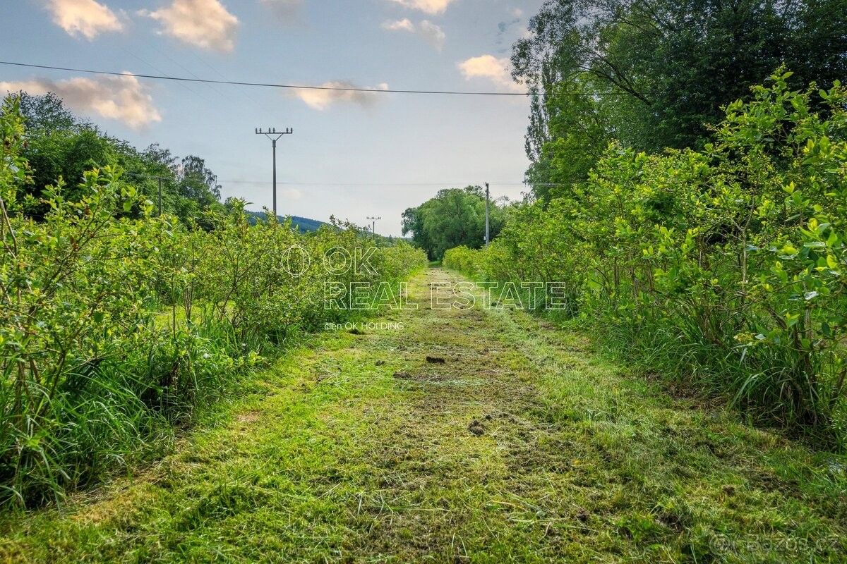 Prodej ostatní - Jince, 262 23, 228 m²