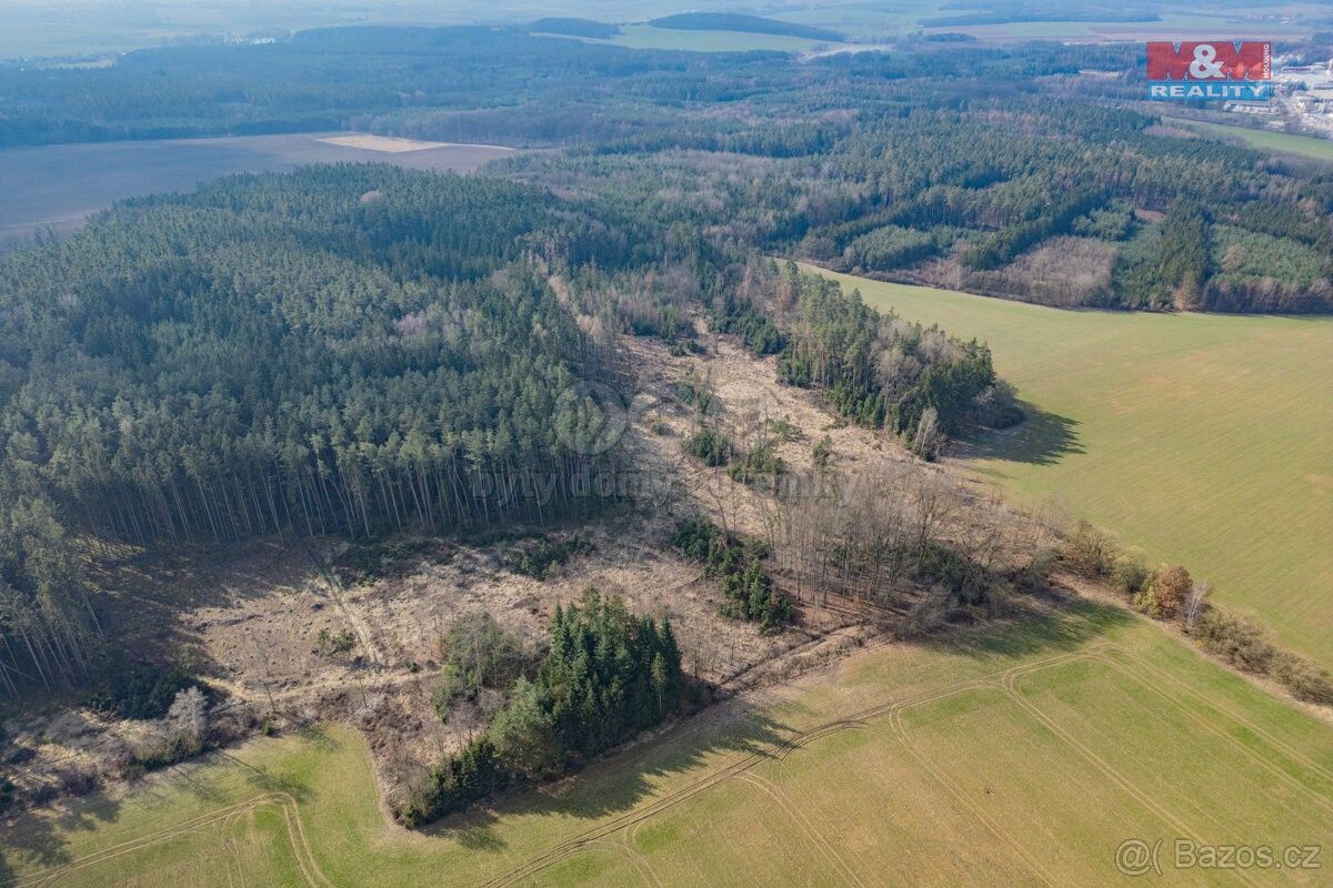 Prodej les - Chlumčany u Přeštic, 334 42, 43 766 m²