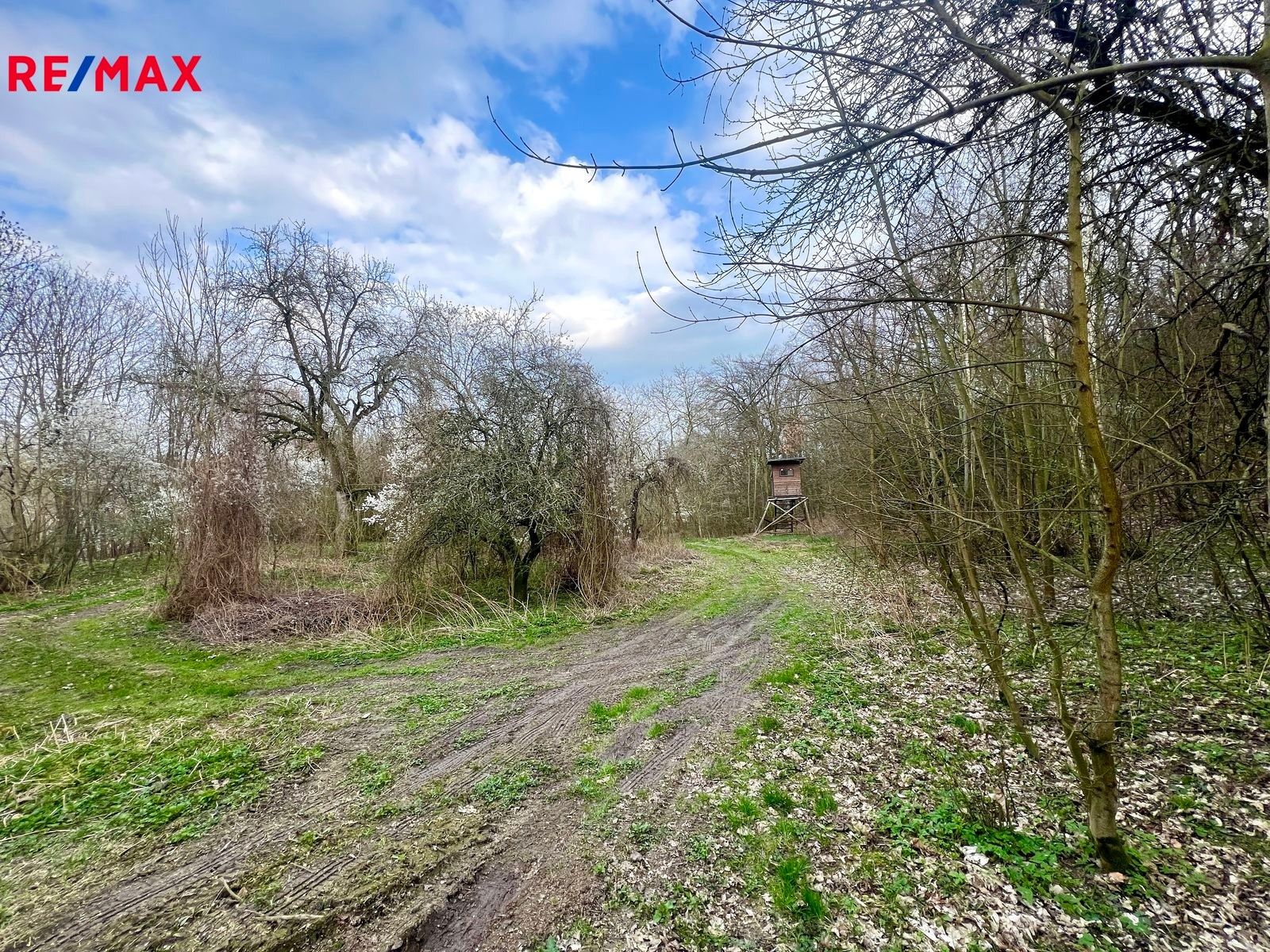 Zahrady, Žatec, 6 m²