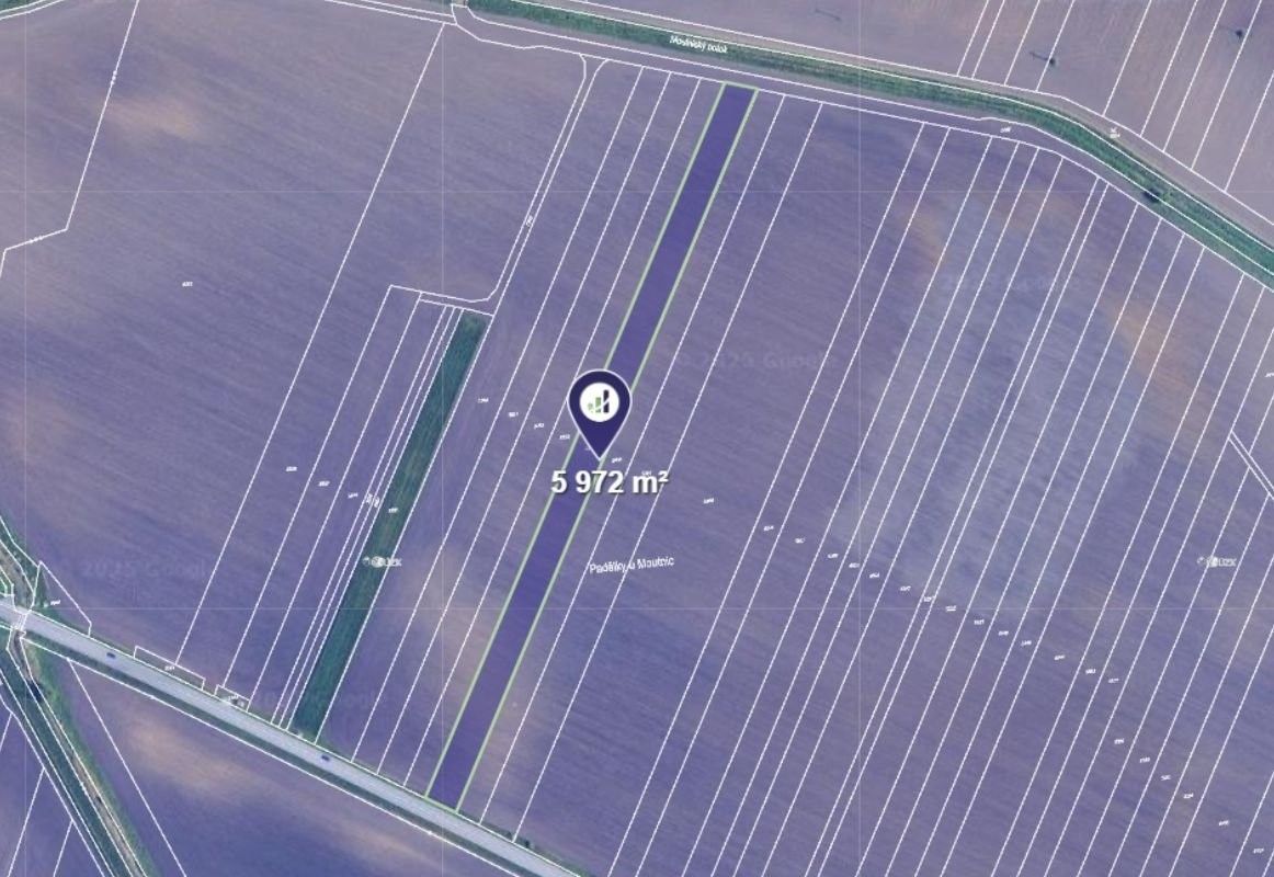 Zemědělské pozemky, Těšany, 5 972 m²