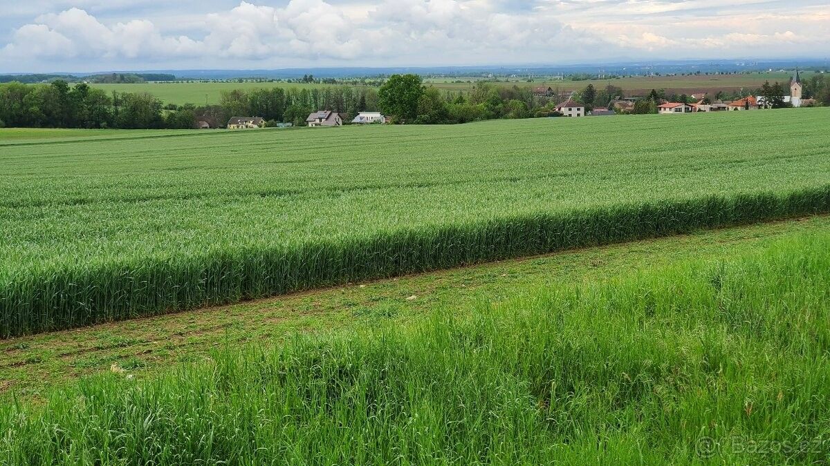 Prodej pozemek - Heřmanův Městec, 538 03, 10 031 m²