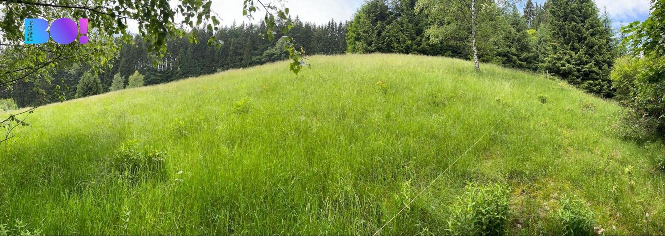 Prodej les - Staré Hamry, 2 m²