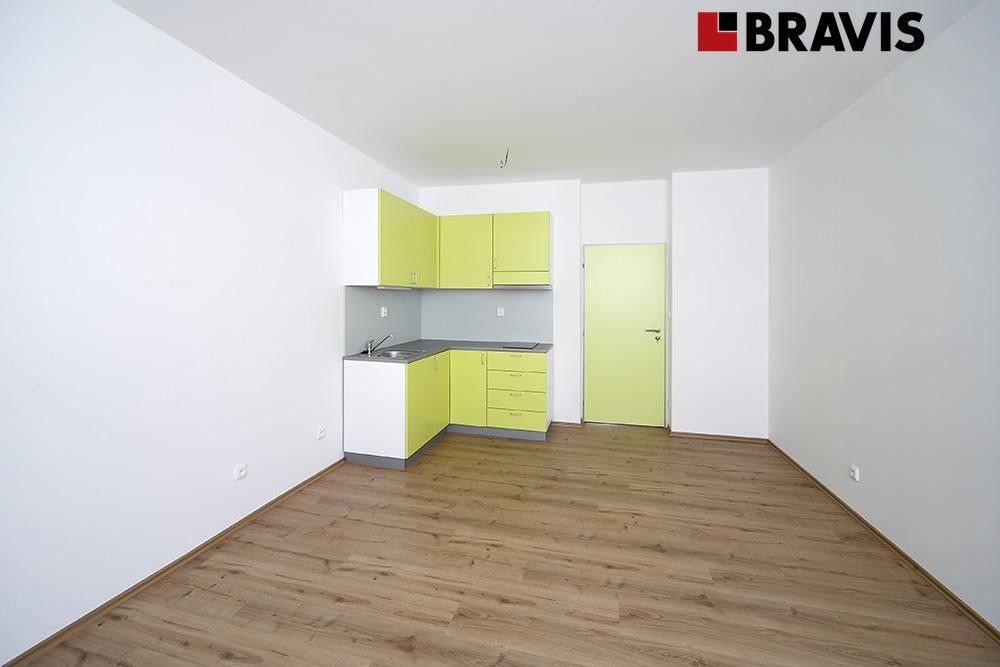 1+kk, Rybářská, Brno, 32 m²