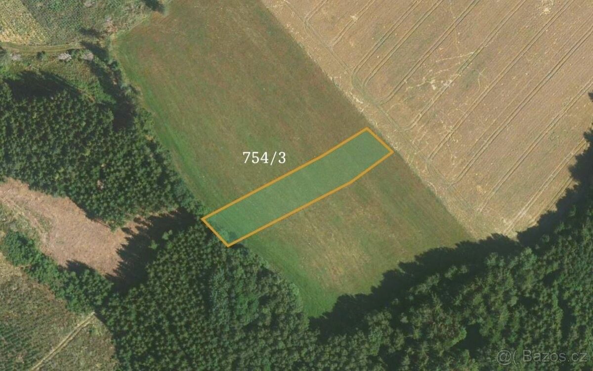 Prodej zemědělský pozemek - Sázavka, 582 44, 8 076 m²