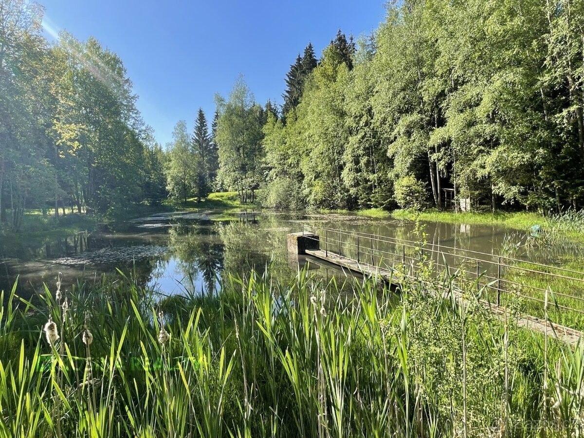 Prodej ostatní - Hranice u Aše, 351 24, 2 896 m²