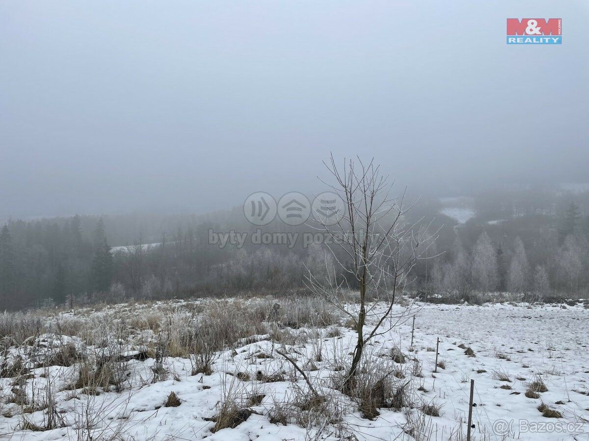 Prodej les - Železný Brod, 468 22, 8 638 m²