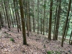 Pozemky pro bydlení, Semily, 513 01