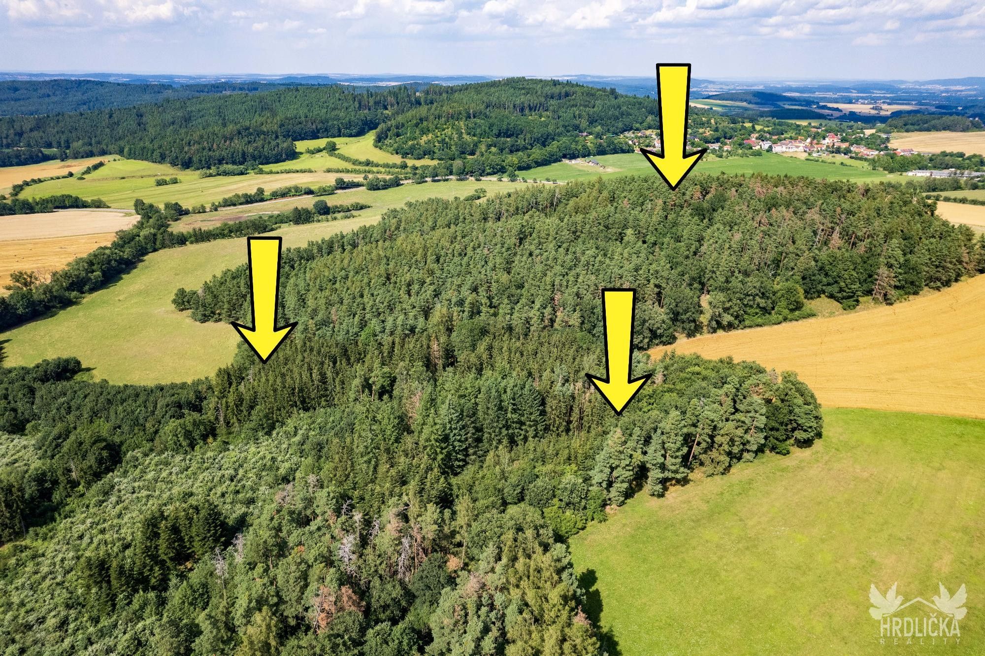 Prodej les - Miloňovice, 28 935 m²