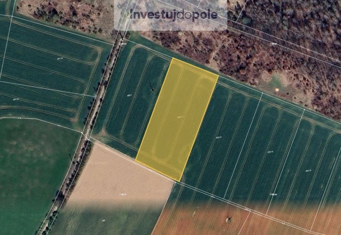 Prodej zemědělský pozemek - Kamenice, 251 68, 9 205 m²