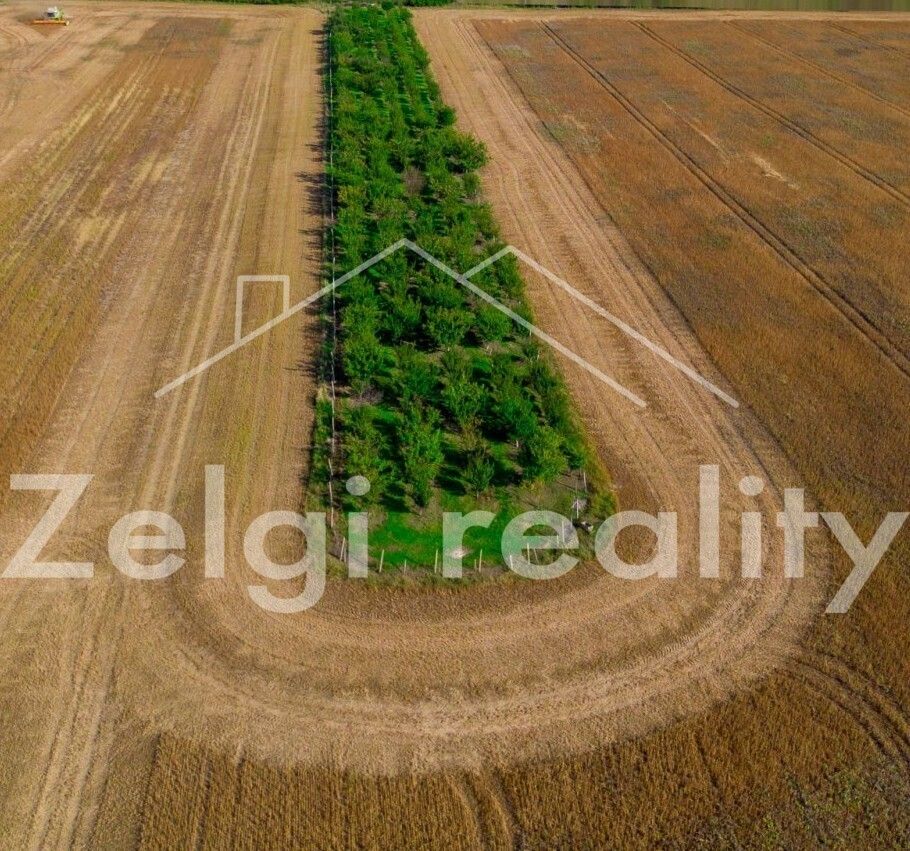 Ostatní, Zaječí, 8 m²