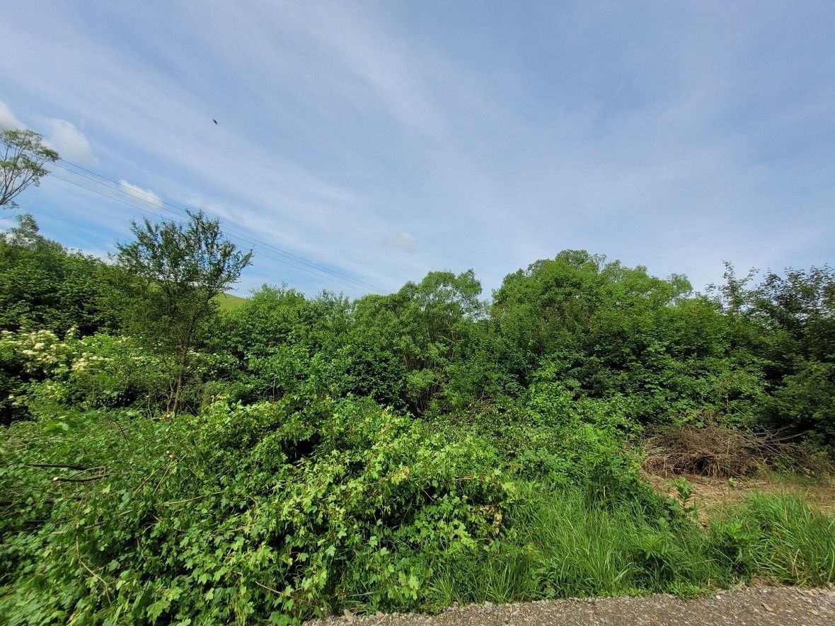 Pozemky pro bydlení, Osvětimany, 687 42