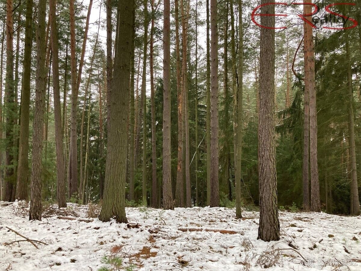 Lesy, Čistá u Mladé Boleslavě, 294 23, 162 122 m²