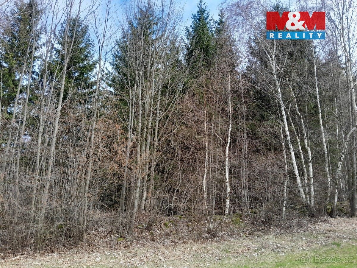 Prodej pozemek pro bydlení - Čkyně, 384 81