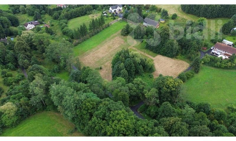 Louky, Dolní Pertoltice, Pertoltice