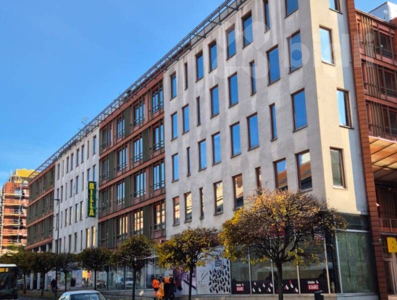 Obchodní prostory, Lukášova, Praha, 92 m²