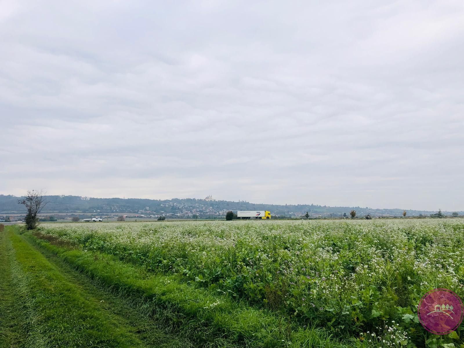 Prodej zemědělský pozemek - Týneček, Olomouc, 21 568 m²