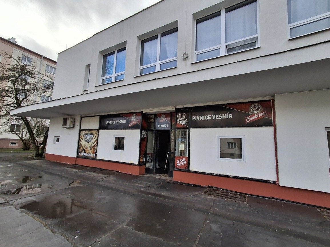 Restaurace, Pastýřská, Cheb, 200 m²