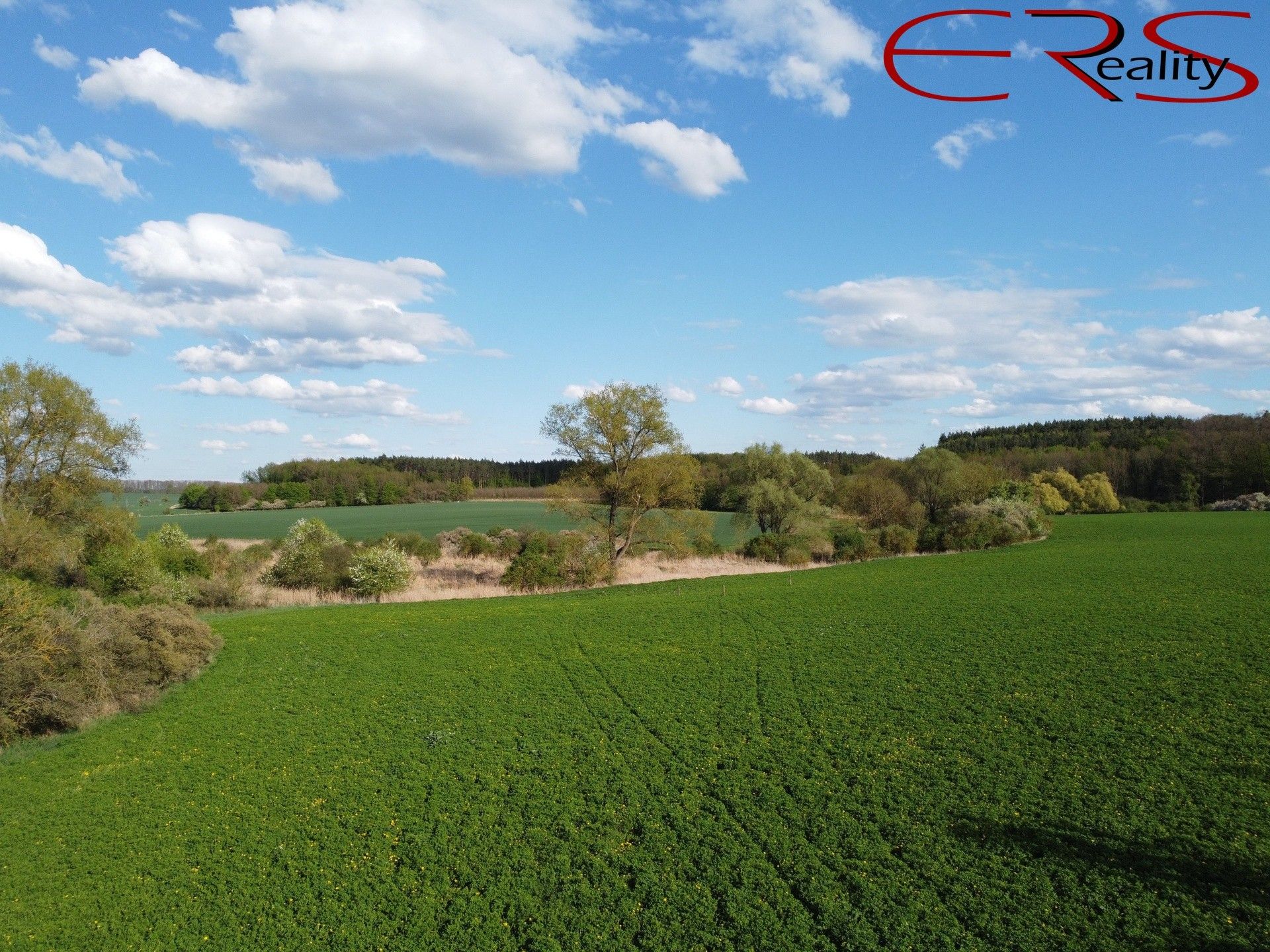 Louky, Městec Králové