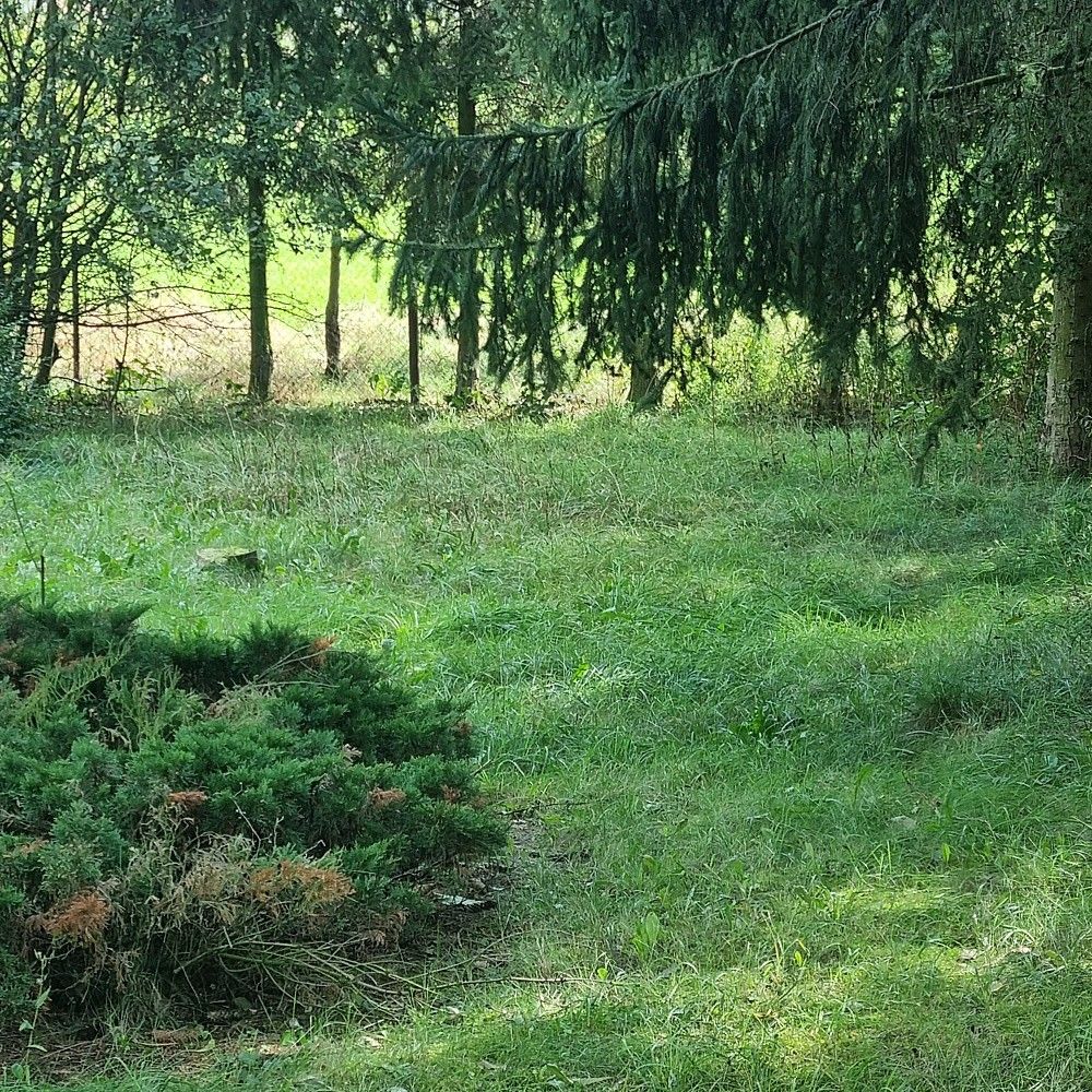 Prodej pozemek pro bydlení - Litoměřice, 412 01, 1 540 m²