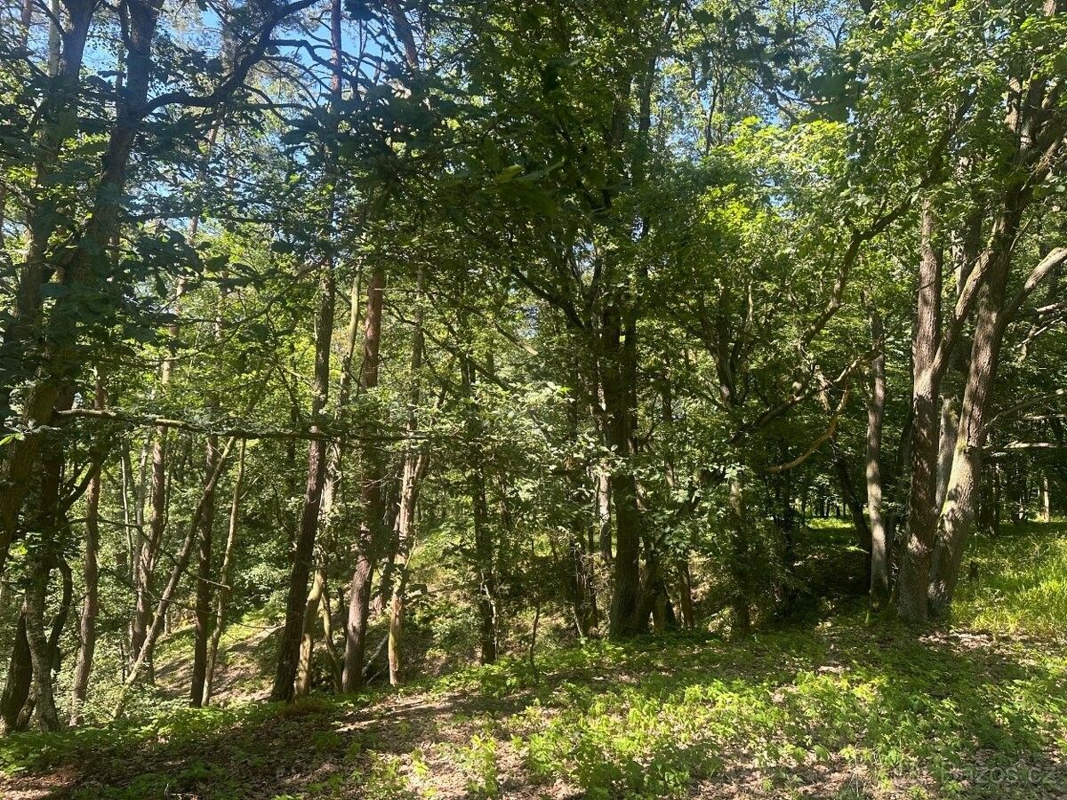 Prodej les - Nebužely, 277 34, 27 933 m²