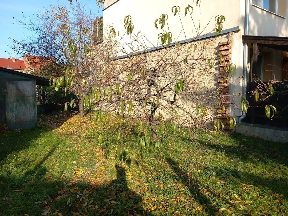 Prodej pozemek pro bydlení - Farského, Brno, 285 m²