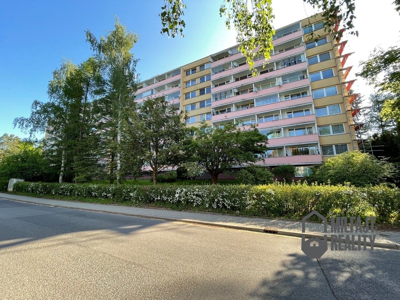 1+kk, Březová alej, Liberec, 22 m²