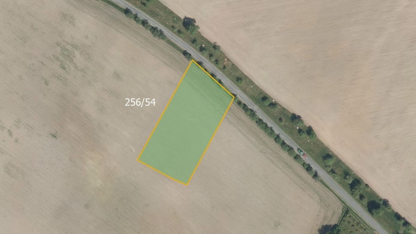 Prodej zemědělský pozemek - Benešovice, Brloh, 6 001 m²