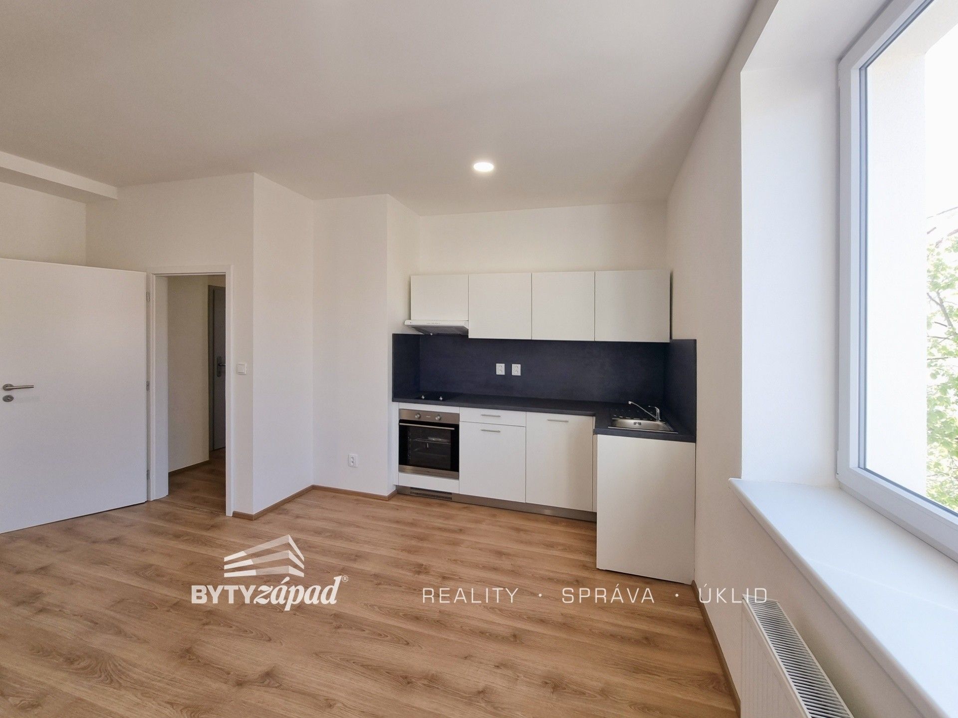 1+kk, Zikmunda Wintra, Plzeň, 31 m²