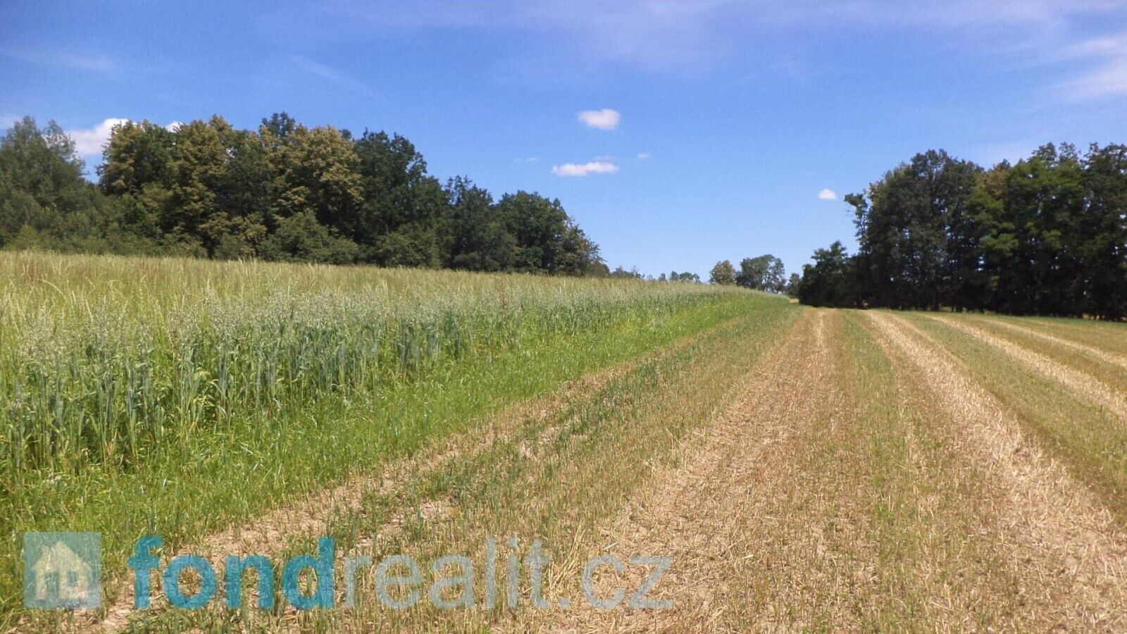 Zemědělské pozemky, Dříteň, 18 m²