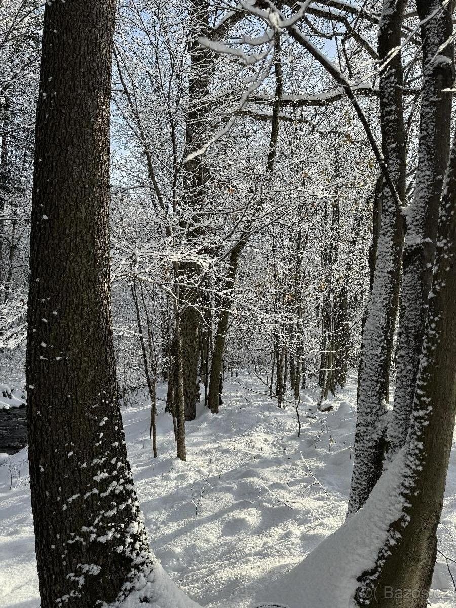 Lesy, Žulová, 790 65, 3 247 m²