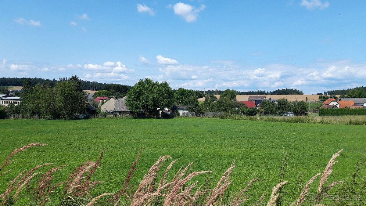 Prodej pozemek pro bydlení - Bukovany, 779 00