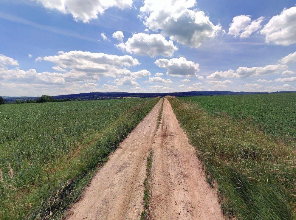 Prodej zemědělský pozemek - Albrechtice nad Vltavou, 33 781 m²