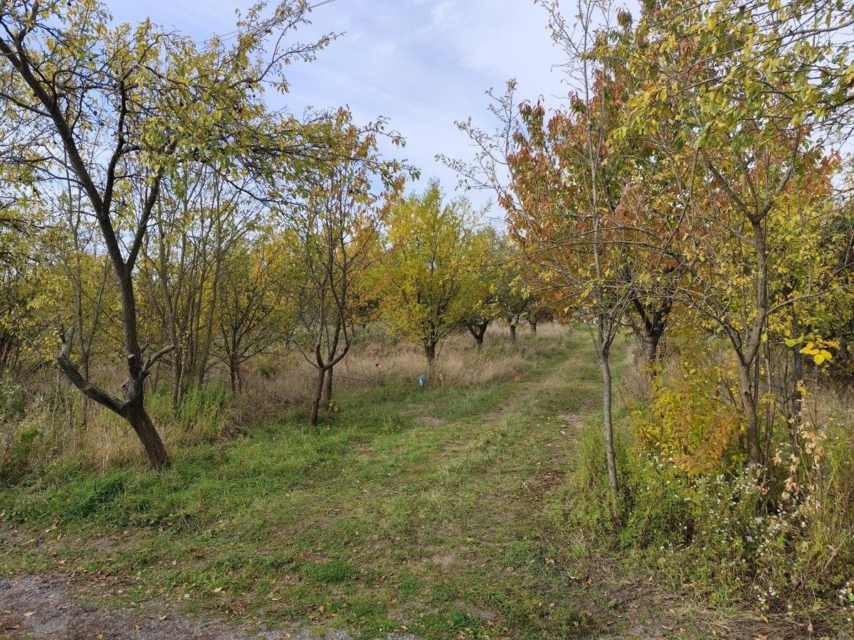 Pozemky pro bydlení, Újezd u Brna