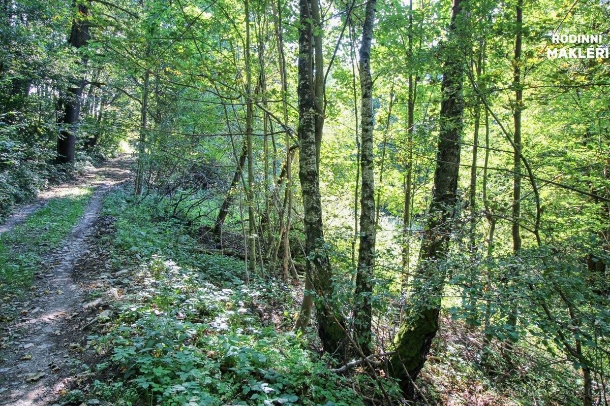 Prodej pozemek pro bydlení - Jilemnice, 514 01