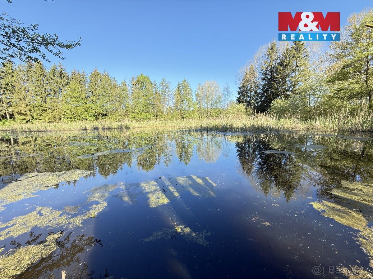 Prodej pozemek pro bydlení - Rychnov nad Kněžnou, 516 01