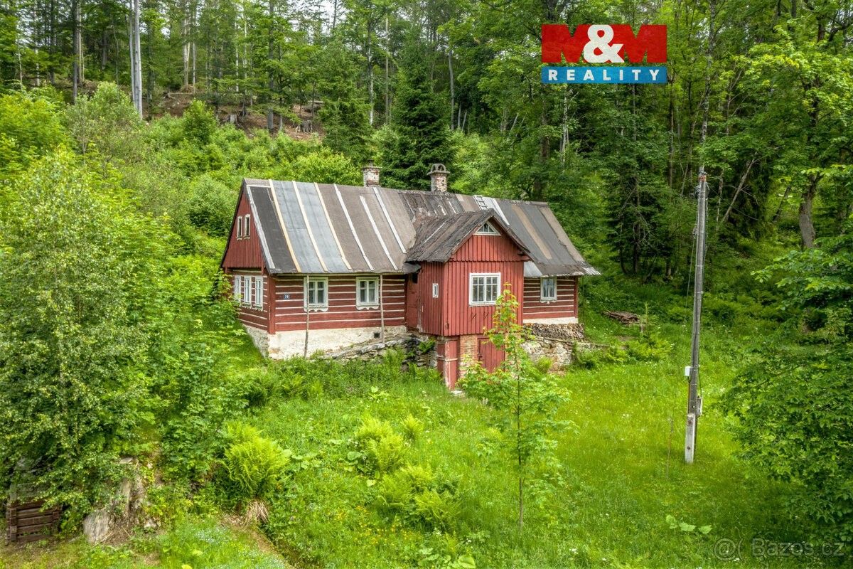 Prodej pozemek pro bydlení - Paseky nad Jizerou, 512 47