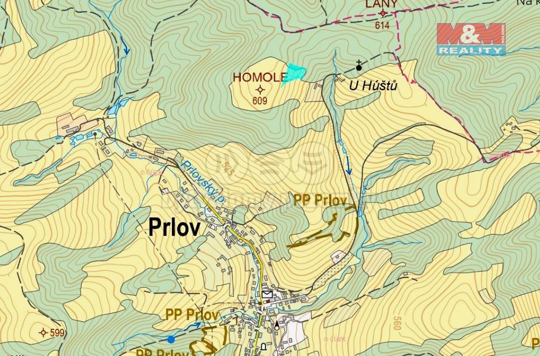 Prodej zemědělský pozemek - Valašská Polanka, 756 11, 4 463 m²