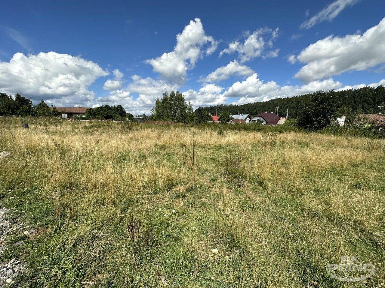 Pozemky pro bydlení, Dřevčice, 7 280 m²