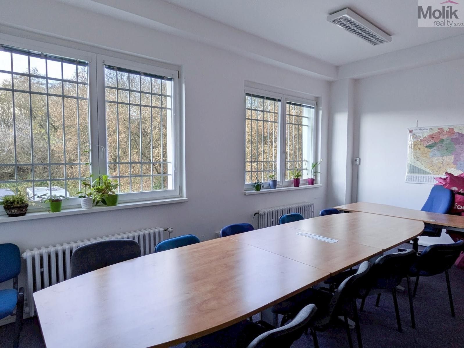 Kanceláře, Novosedlická, Teplice, 18 m²