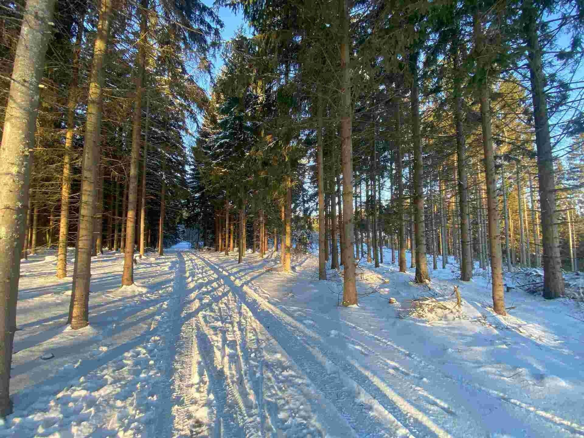 Ostatní, Frýdštejn, 2 313 m²