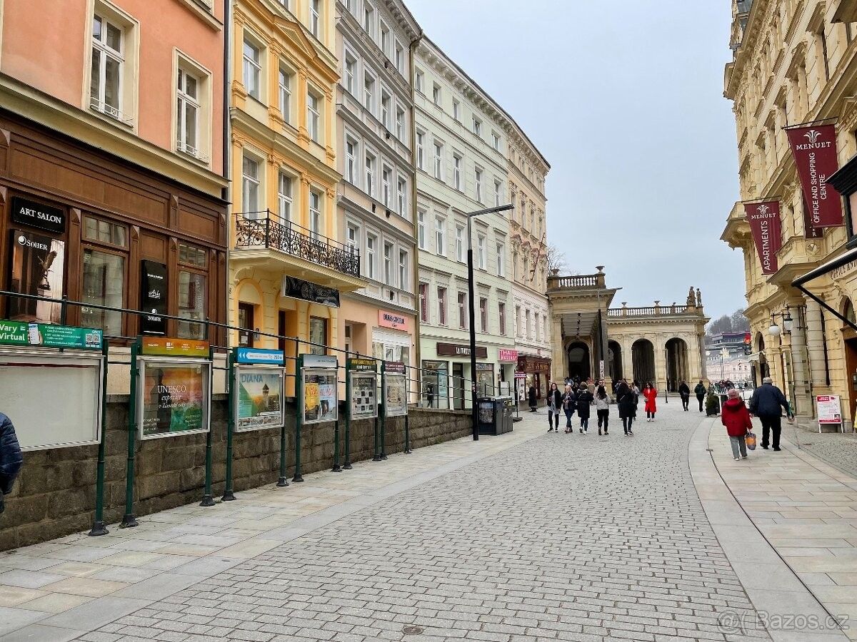 1+kk, Karlovy Vary, 360 01, 18 m²