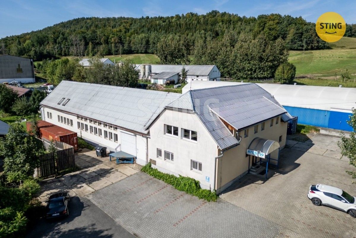 Obchodní prostory, Rožnov pod Radhoštěm, 756 61, 3 541 m²