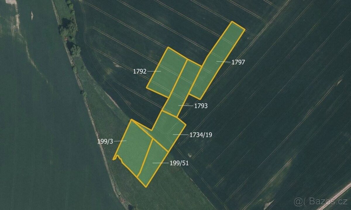 Prodej zemědělský pozemek - Radešínská Svratka, 592 33