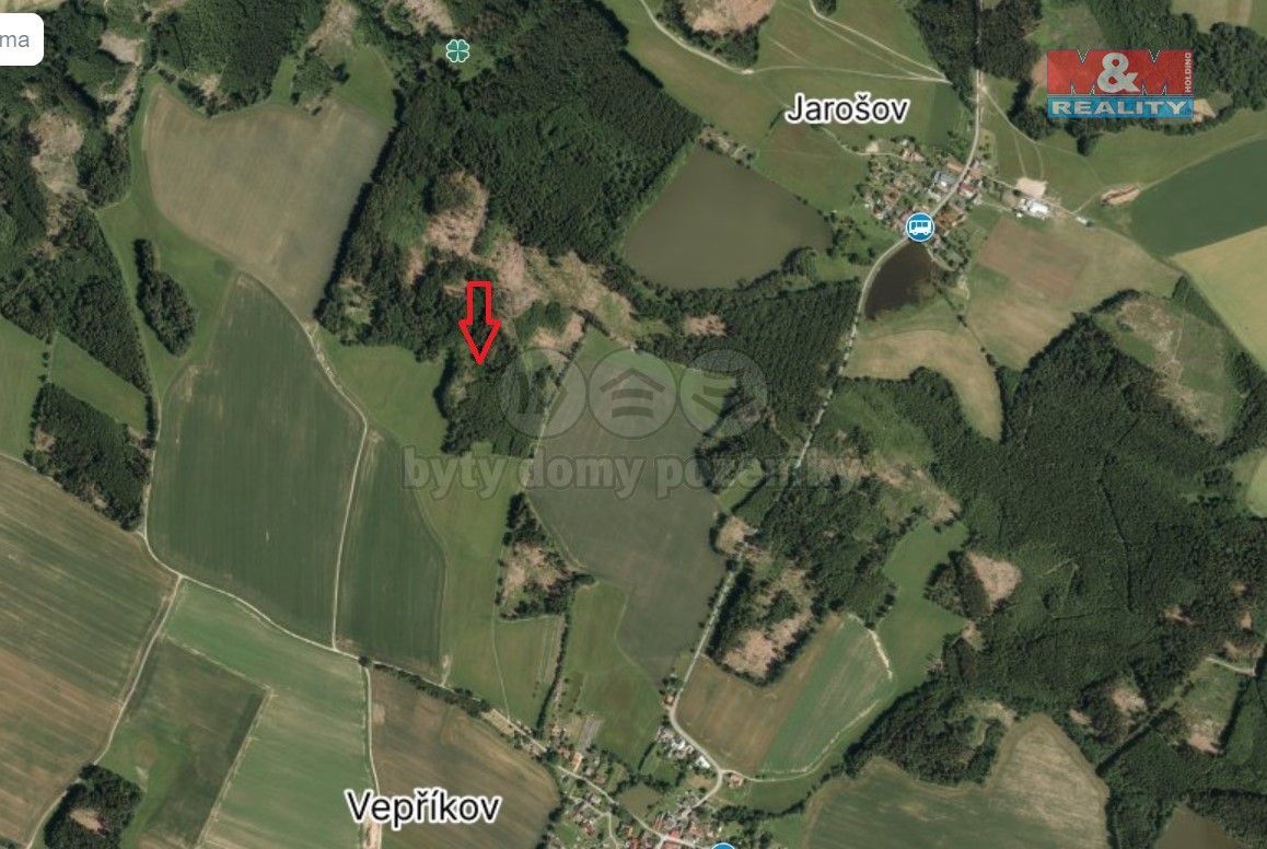 Prodej les - Chotěboř, 583 01, 3 800 m²